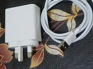 Honor 400 Pro 100 Watt Charger