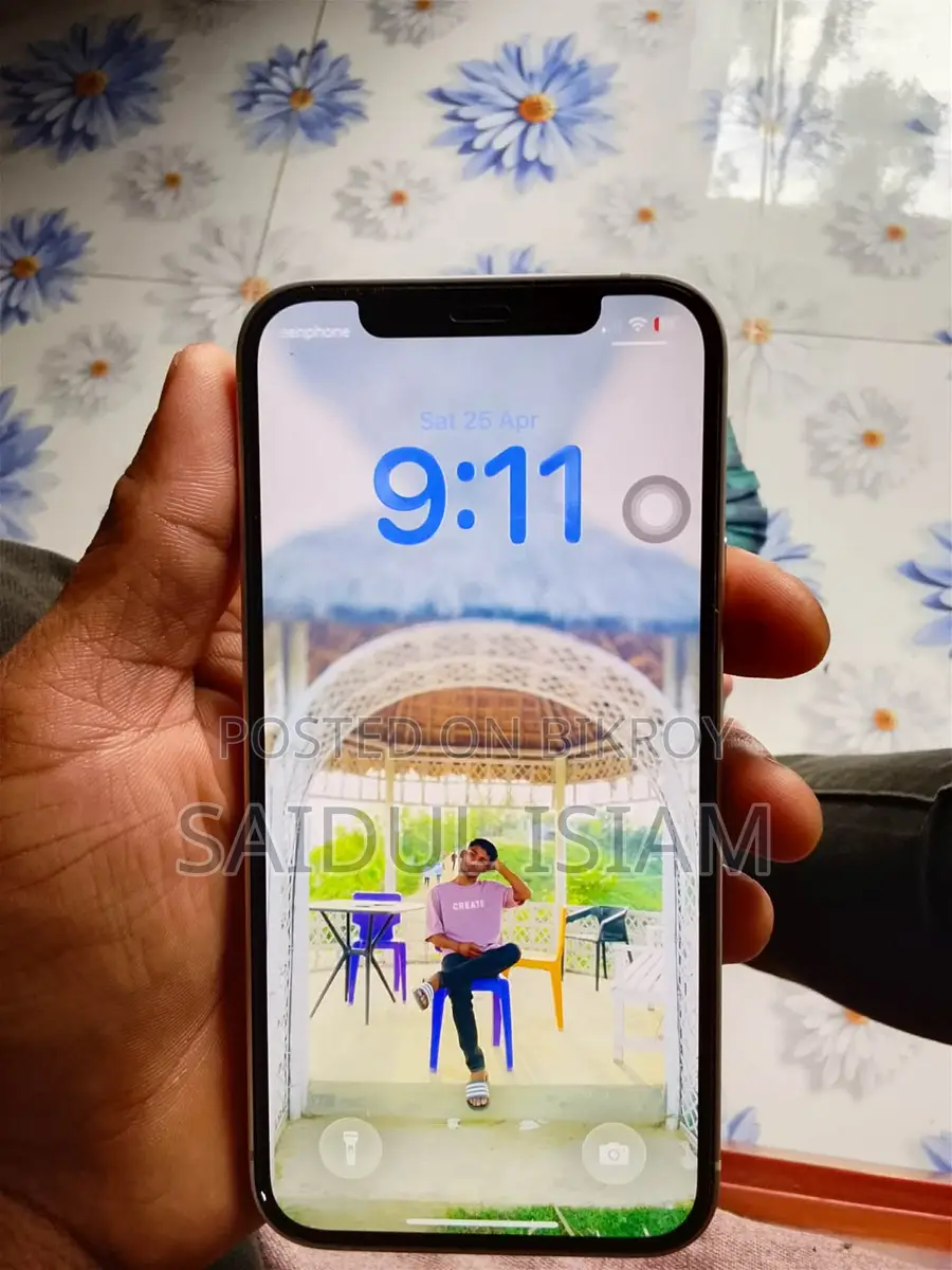 Apple iPhone 12 (Used)