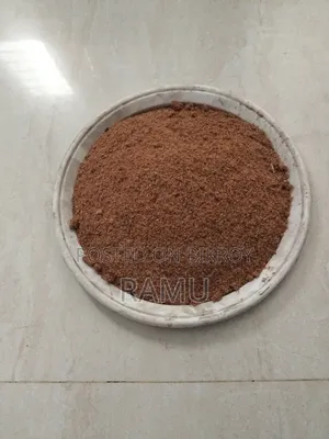 বিড়ালের যত্ন