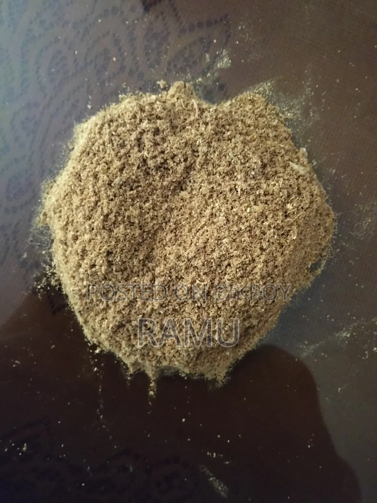 বিড়ালের যত্ন