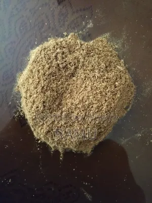 বিড়ালের যত্ন