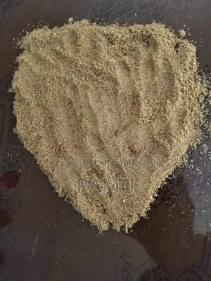 বিড়ালের যত্ন