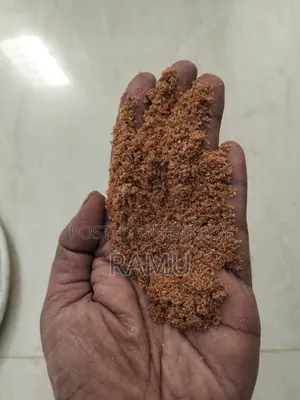 বিড়ালের যত্ন