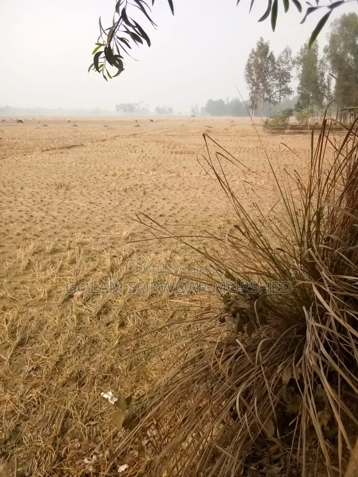 Land for Sale in Venda Bari