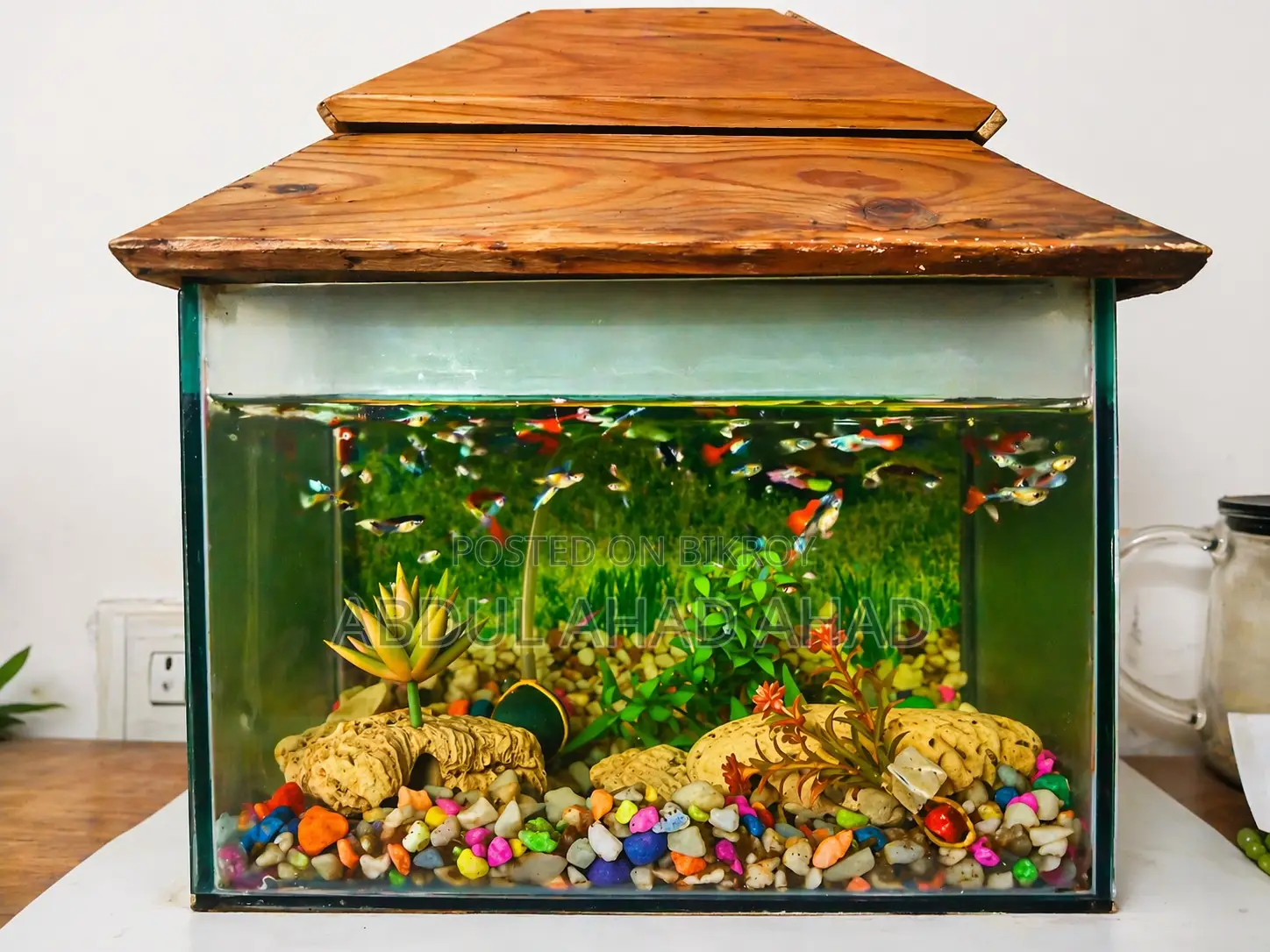 8/12 Inch Aquarium