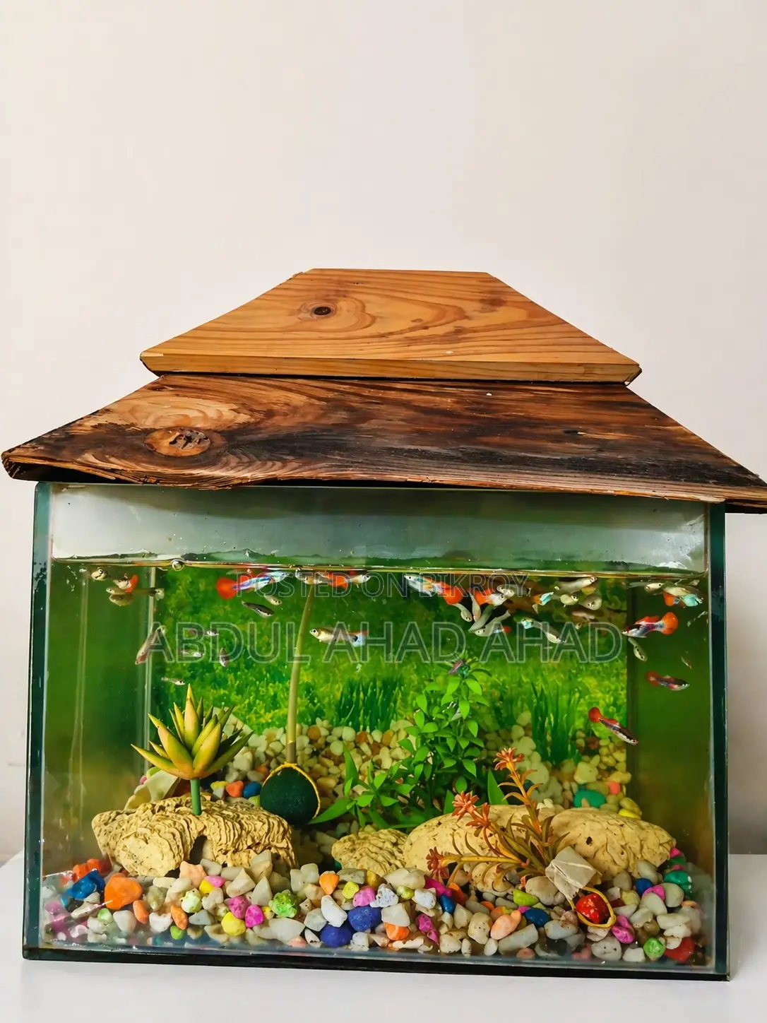 8/12 Inch Aquarium