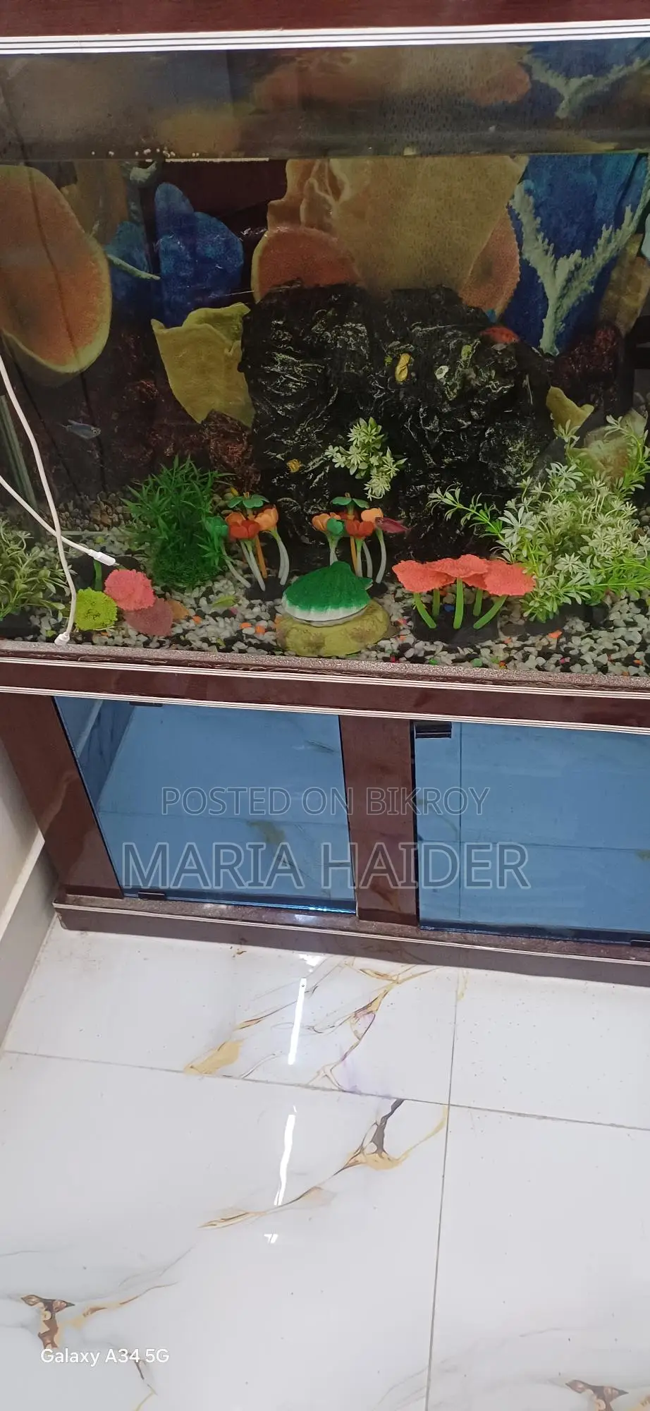 Big Size Fish Aquarium