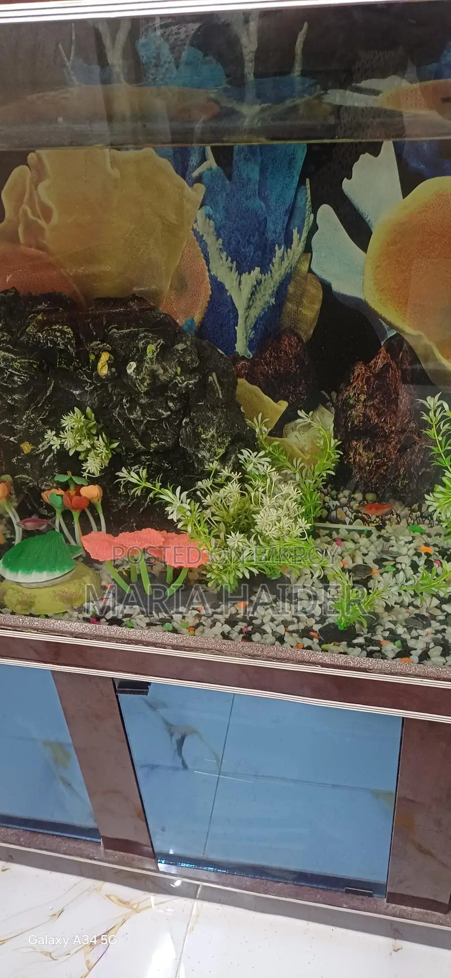 Big Size Fish Aquarium