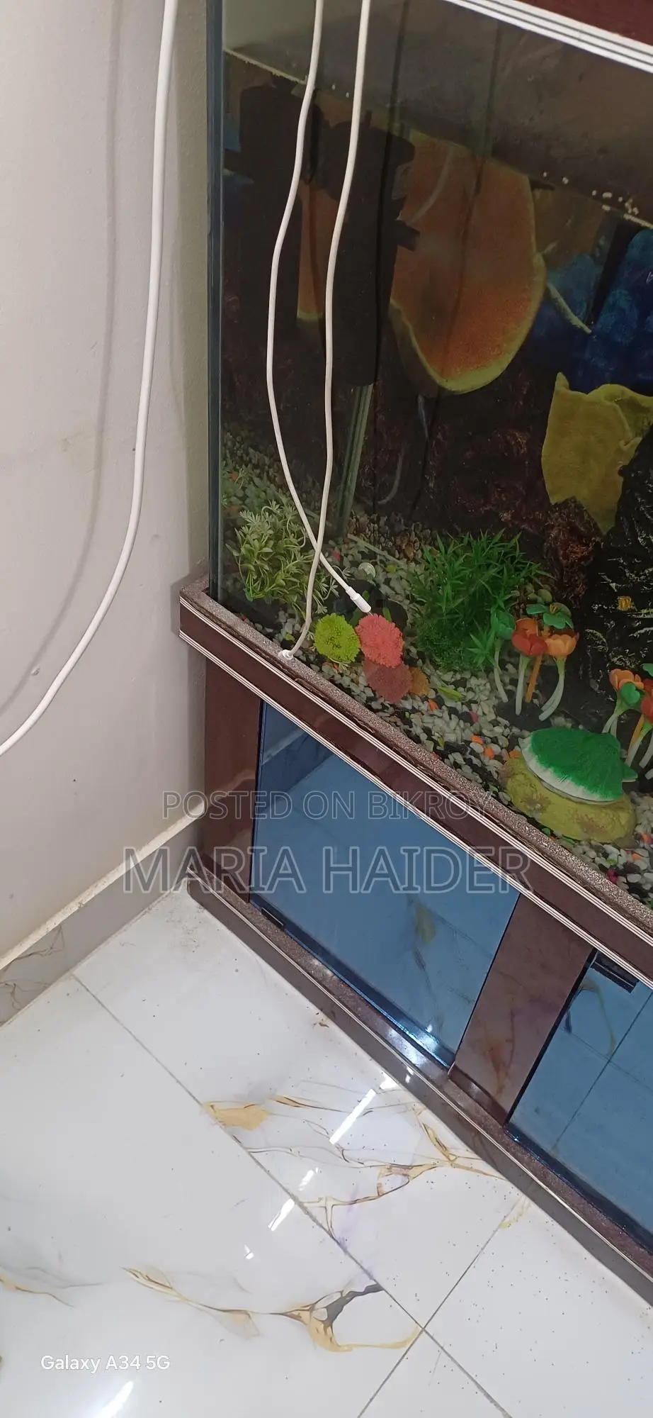 Big Size Fish Aquarium