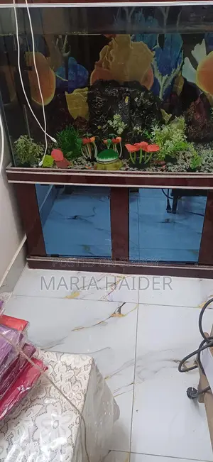 Big Size Fish Aquarium