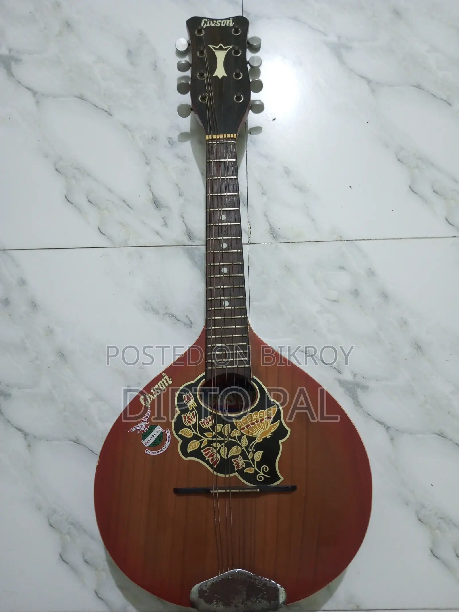 Mandolin