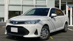 Toyota Axio Hybrid EX pre order 2021