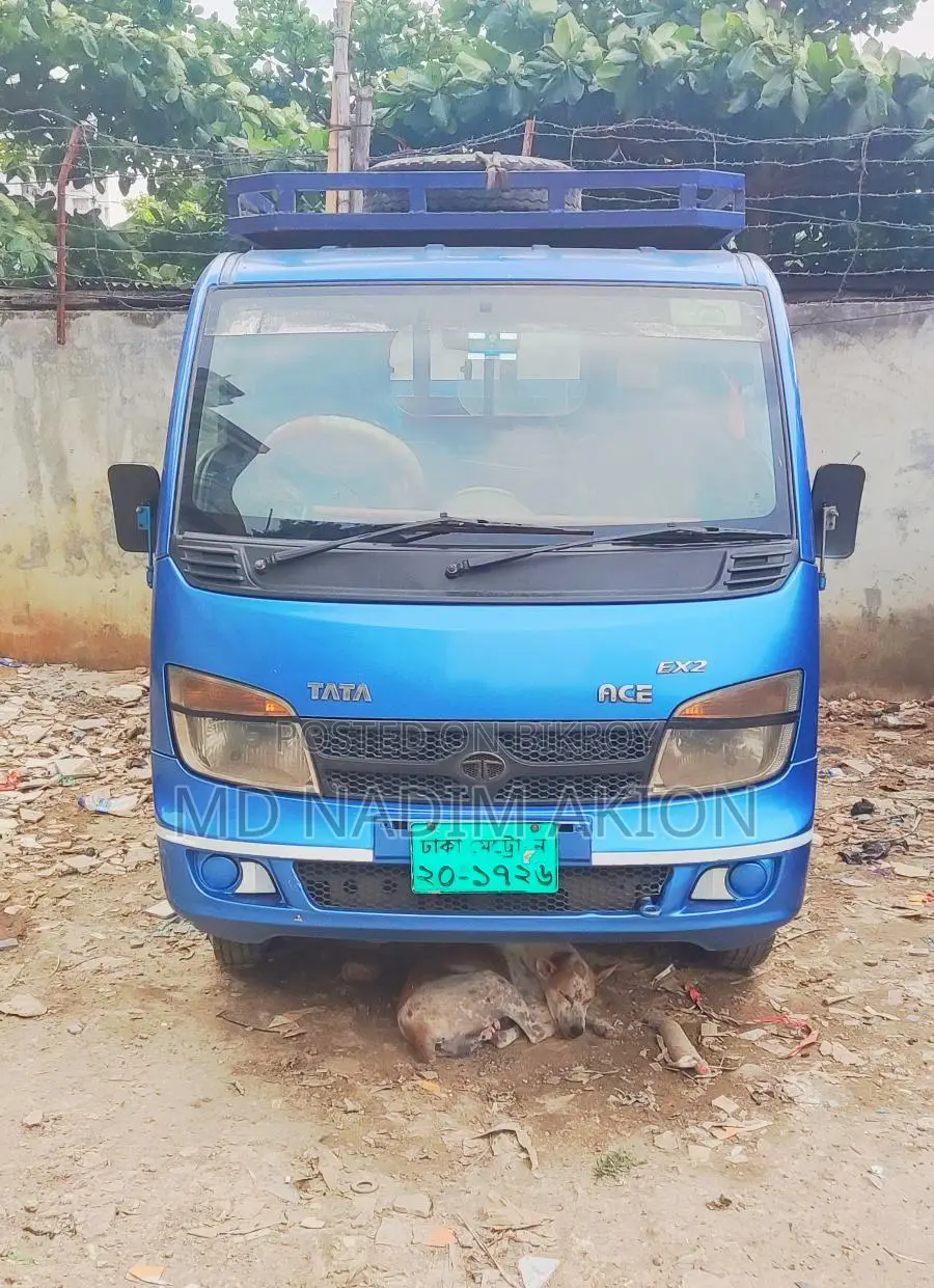 Tata EX2 2019