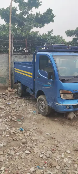 Tata EX2 2019