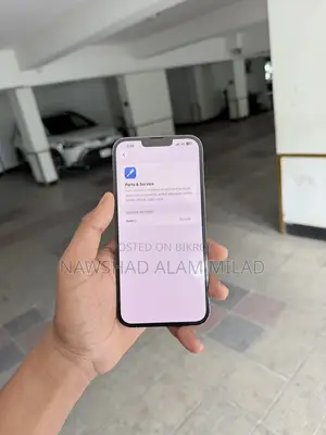 Apple iPhone 13 Pro Max (Used)