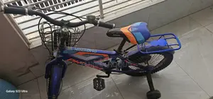 Phoenix Cycle