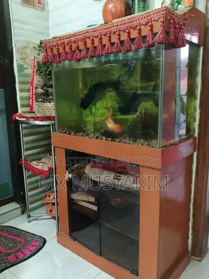 একুরিয়াম