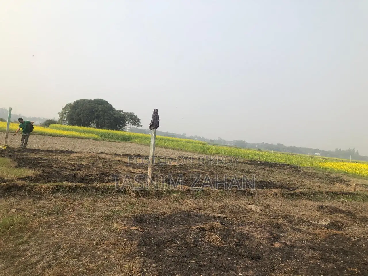 ৬ শতক জমি বিক্রয় হবে