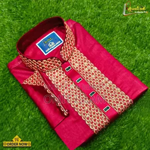 Premium Quality Stylish Panjabi
