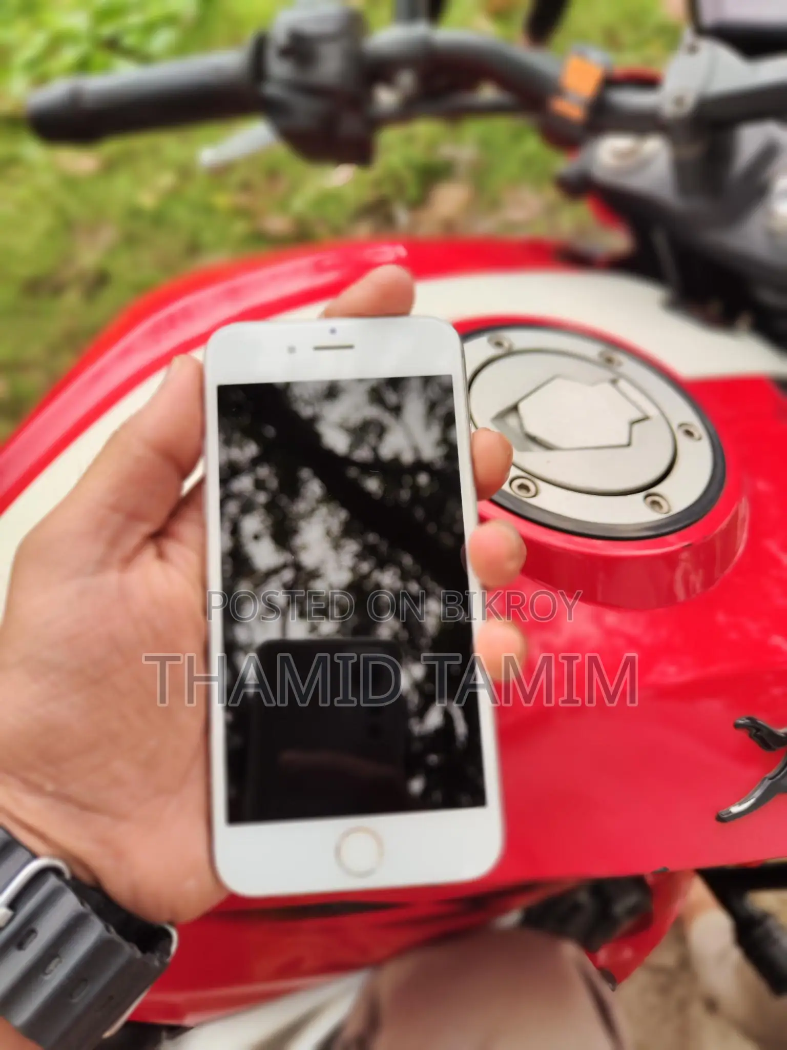 Apple iPhone 6S 64 (Used)