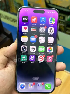 Apple iPhone 15 Pro Max (Used)