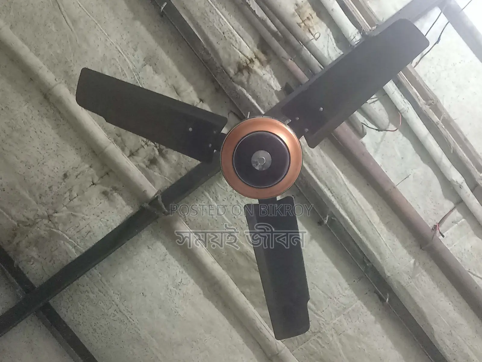 Ceiling Fan