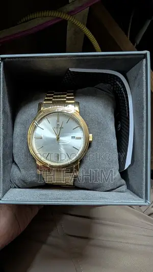 Titan Quartz Analog