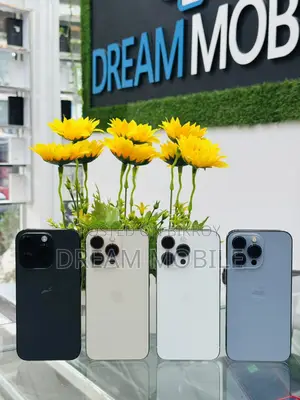 Apple iPhone 13 Pro (Used)