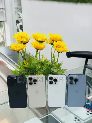 Apple iPhone 13 Pro (Used)
