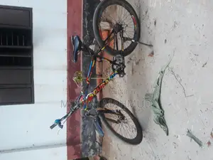 ব্যবহৃত দুরন্ত বাইসাইকেল Used Duronto Bicycle for Sale