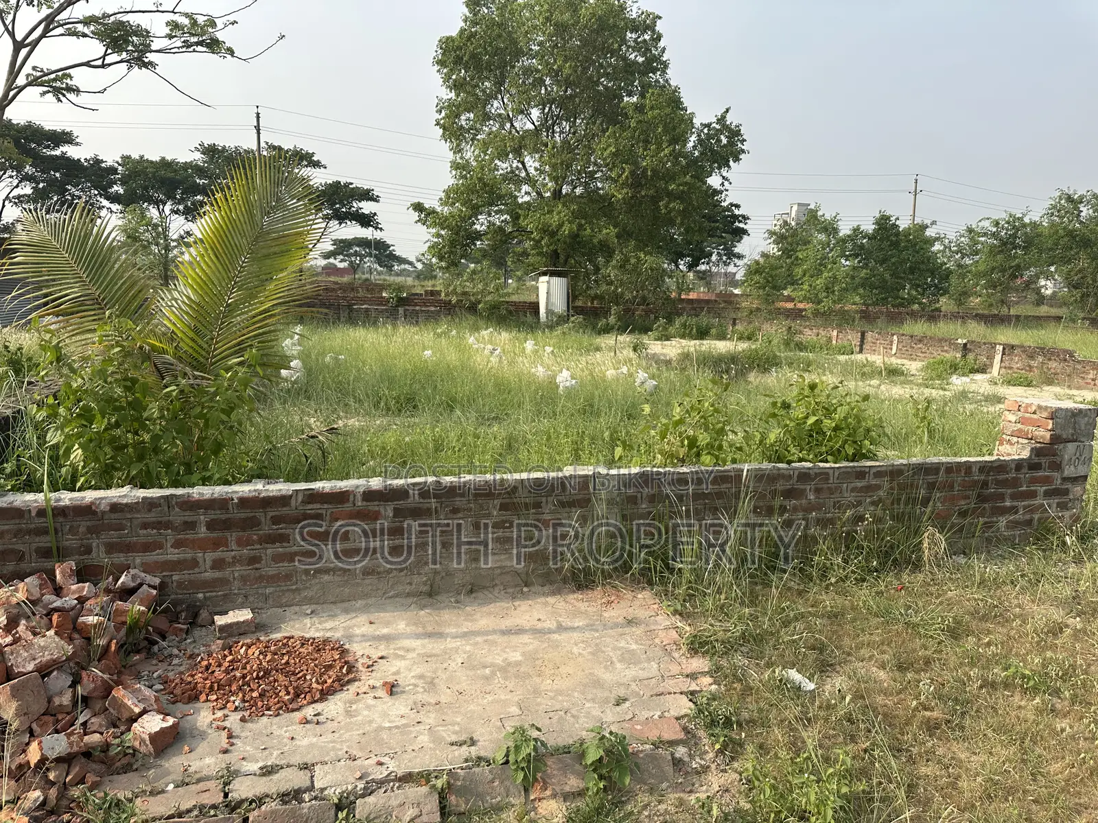 N Block 3 Katha South Face Plot at Basundhara