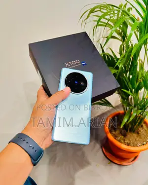 Vivo X100 (Used)