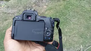 Canon 250d camera 50 mm stm prime lens