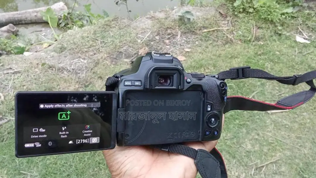 Canon 250d camera 50 mm stm prime lens