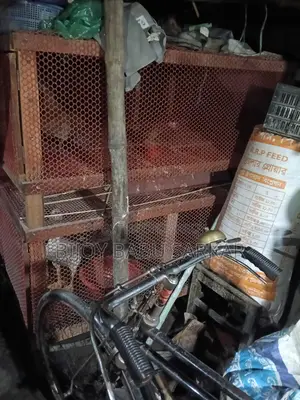 Cage for sale.