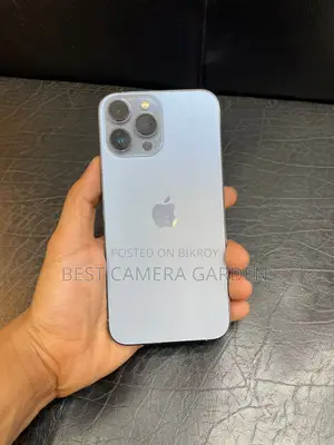 Apple iPhone 13 Pro Max (Used)