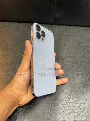 Apple iPhone 13 Pro Max (Used)