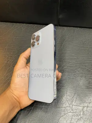 Apple iPhone 13 Pro Max (Used)