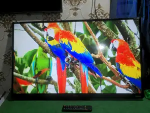 Singer 43" Android TV (Box Included)