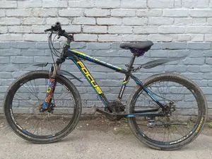 Focus Gear Cycle