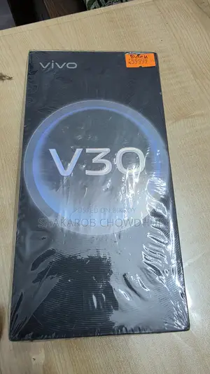 Vivo V30 12/256 (Used)