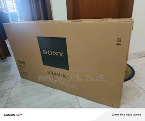 Sony TV - No Display