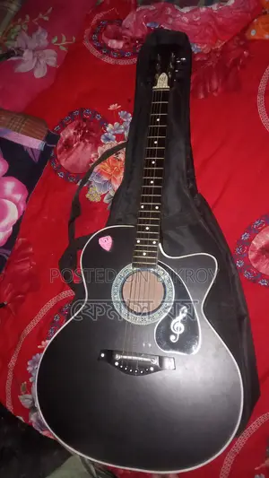 Guitar in Excellent Condition