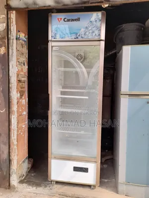 Caravell Beverage Fritz Fresh