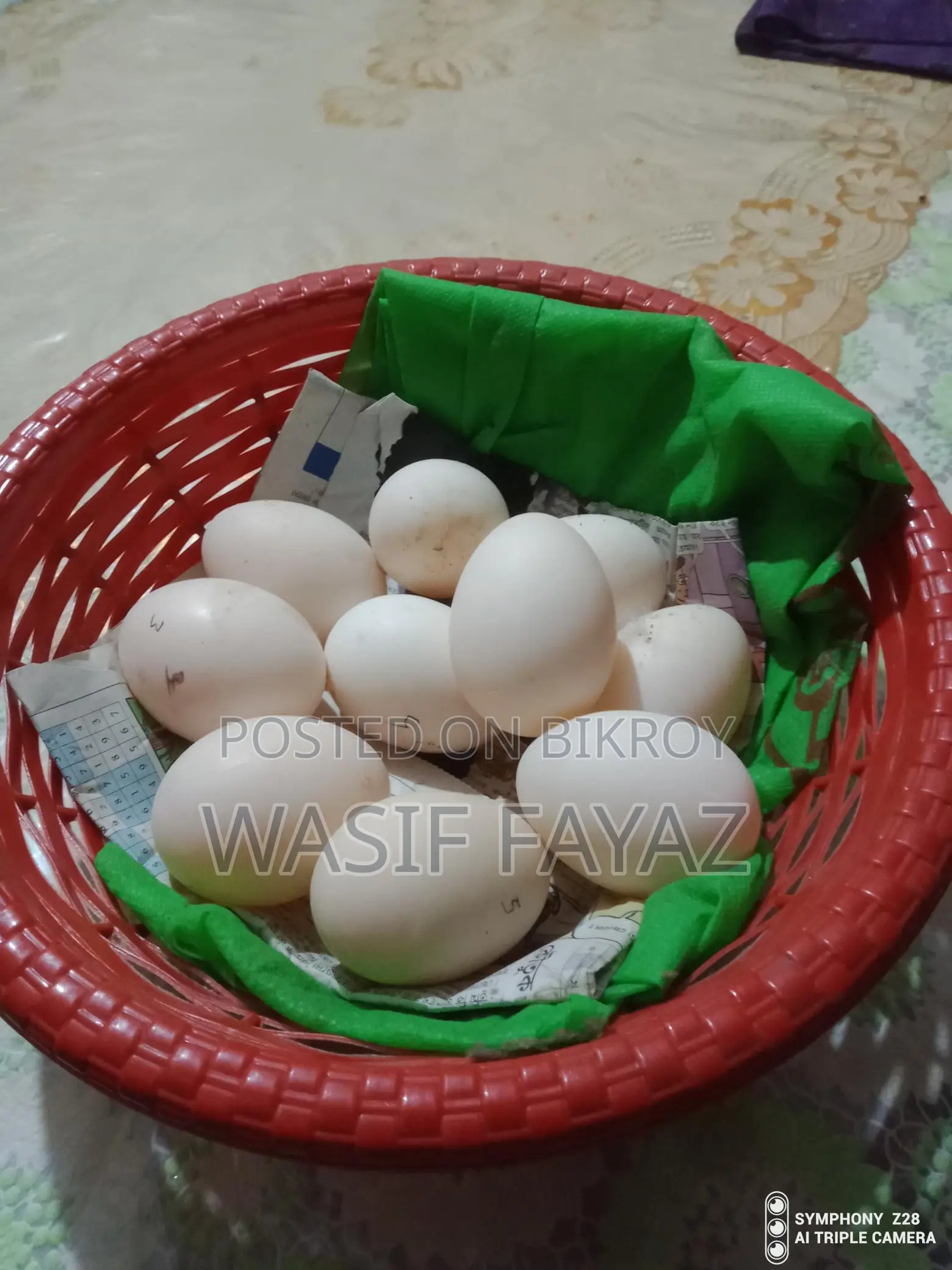 চিনা হাসের বীজ ডিম