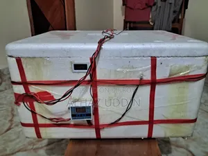 Egg Incubator