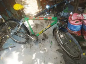 Cycle, perfectly fresh running cycle