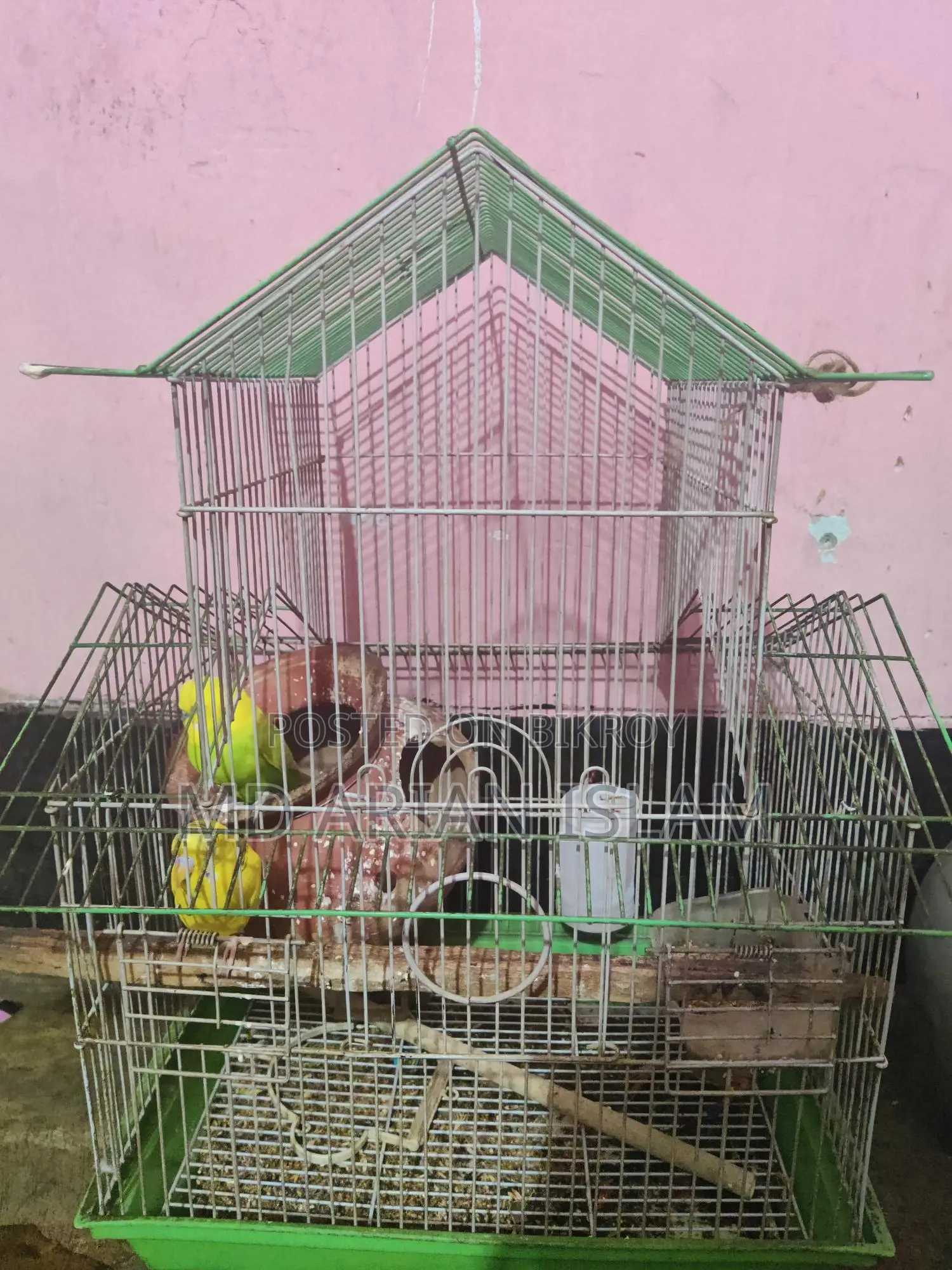 বাজিগর এক জোড়া