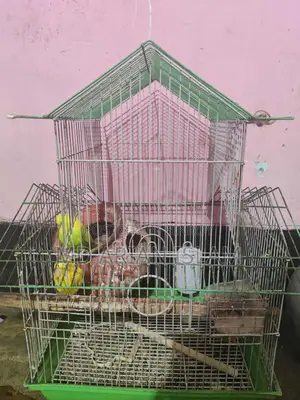 বাজিগর এক জোড়া