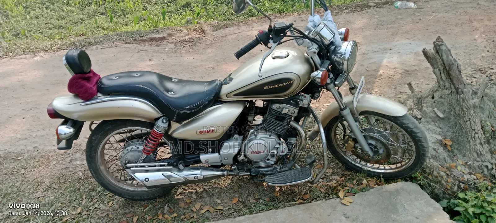 Yamaha 2012 Gold